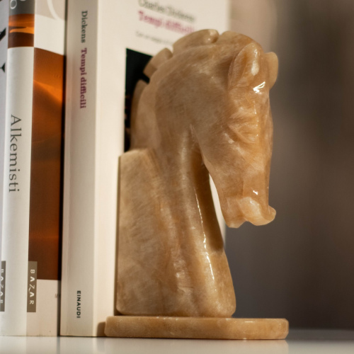 Cavallo kirjatuki 2 kpl